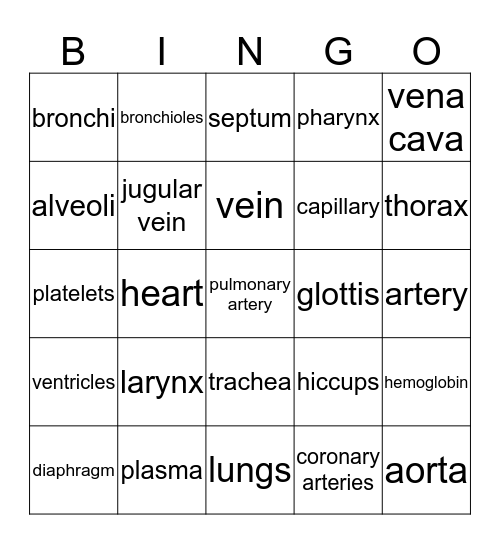circulatory / respiratory Bingo Card