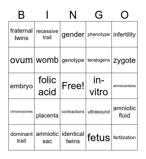 PRENANTAL DEVELOPMENT Bingo Card