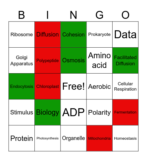 Biology Bingo Card