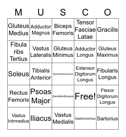 Muscle List # Bingo Card