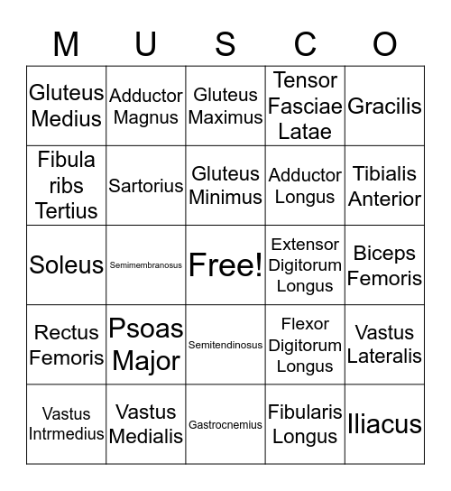 Muscle List #3 Bingo Card