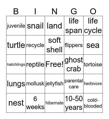 ANIMAL Life Cycle Bingo Card