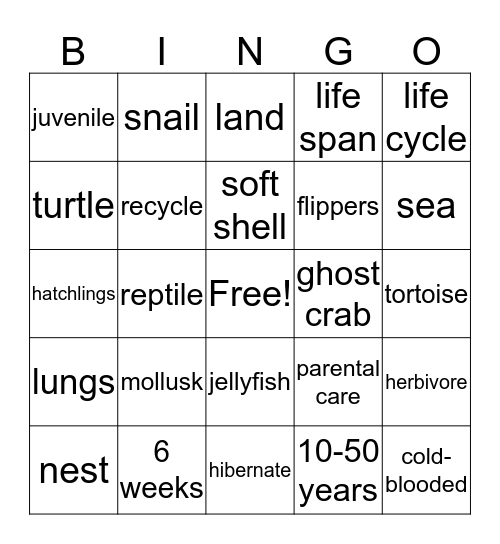 ANIMAL Life Cycle Bingo Card