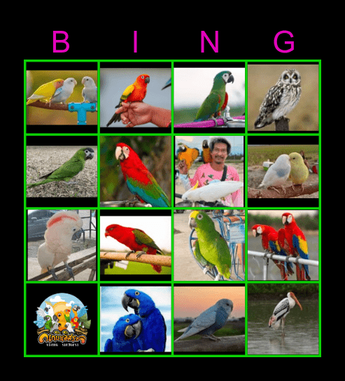 Birds Bingo Card