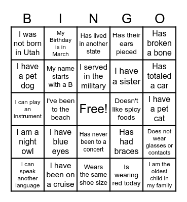 Ice Breaker Bingo Card