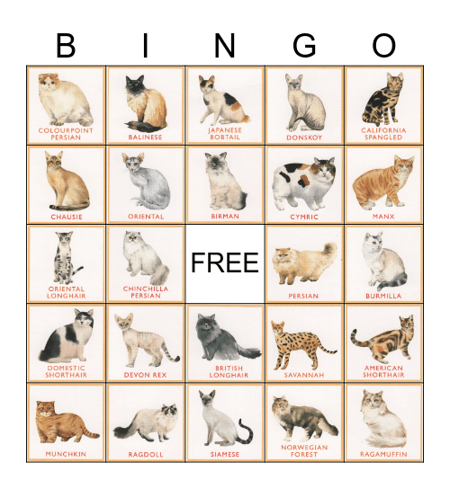 Cat Breed Bingo Card