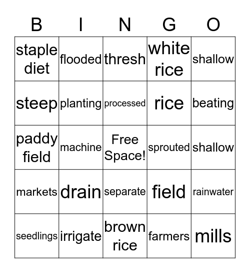 Rice - From Paddy Field to Plate Bingo Card