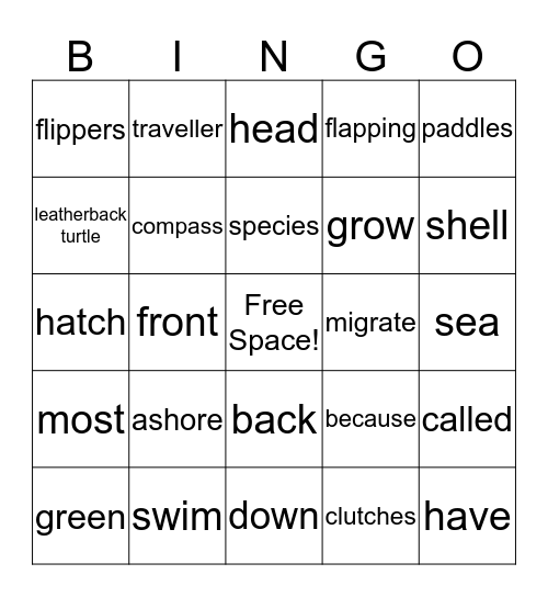 Sea Turtles Bingo Card