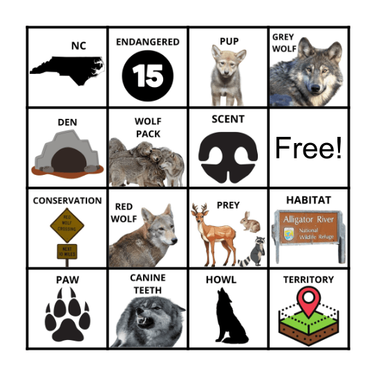 Red Wolves Bingo Card