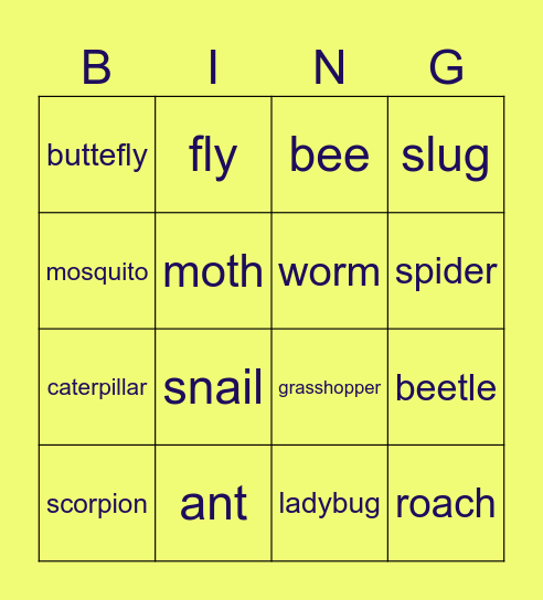 Insects Bingo Card