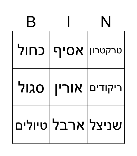 יום הולדת שמח Bingo Card