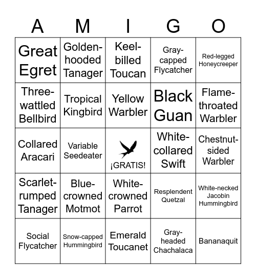 ¡Costa Rica Amigo Bingo! Bingo Card