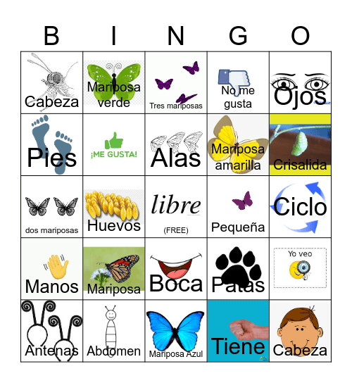 Mariposa y Partes del Cuerpo Bingo Card