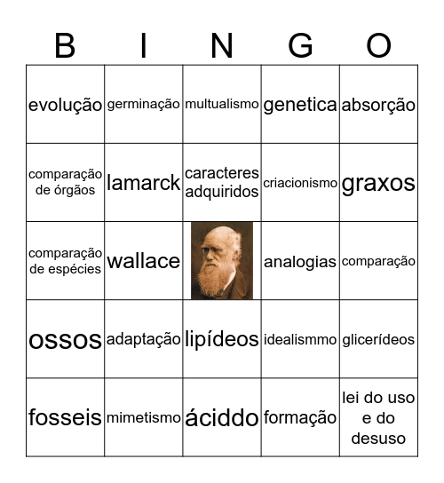 Bingo evolutivo Bingo Card