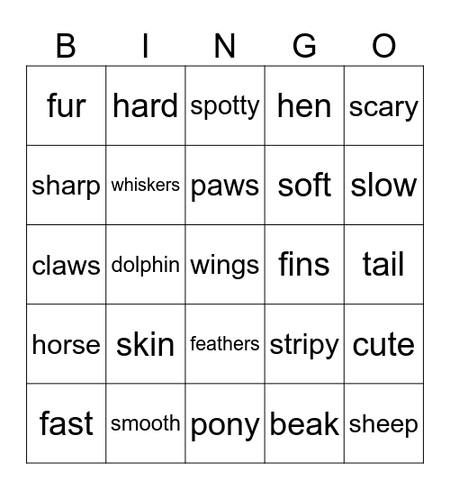 Unit 3, Klasa 3 Bingo Card