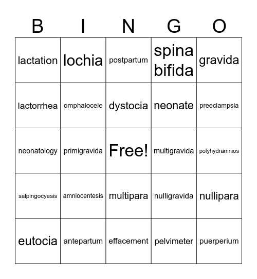 MOD 8 TERMS BUILT Bingo Card