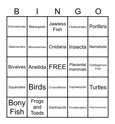 Animal Classification Bingo Card