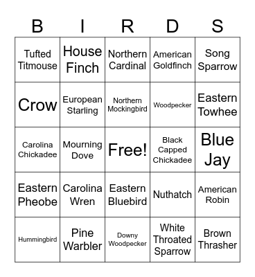 Birds Bingo Card
