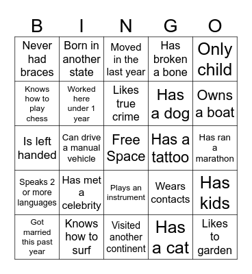 Icebreaker Bingo Card