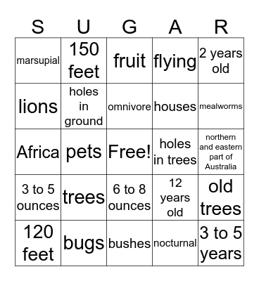 Sugar Glider Bingo Card