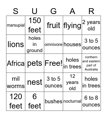 Sugar Glider Bingo Card