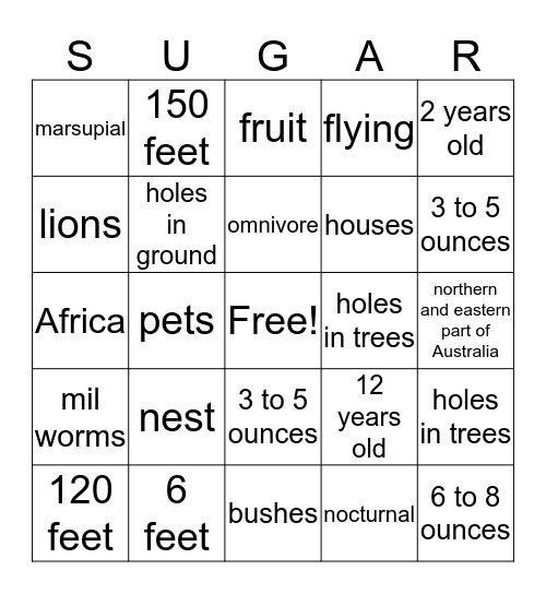 Sugar Glider Bingo Card