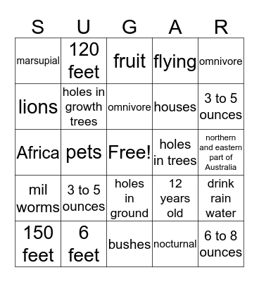 Sugar Glider Bingo Card