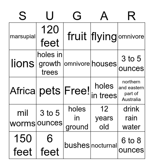 Sugar Glider Bingo Card