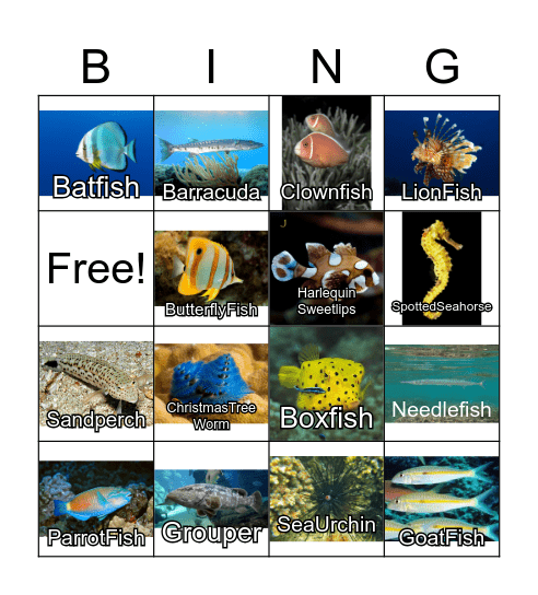 Fishes of Koh Mak Bingo Card