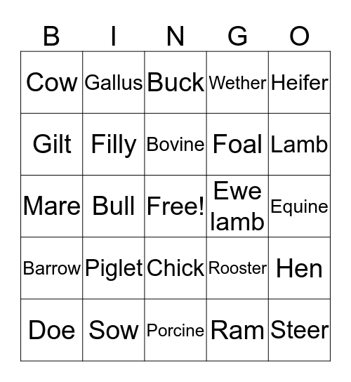 Lidea's FFA animal bingo Card