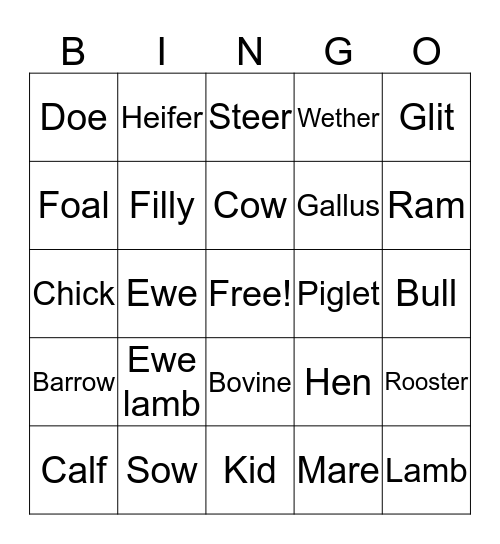 Taylor's FFA animals Bingo Card