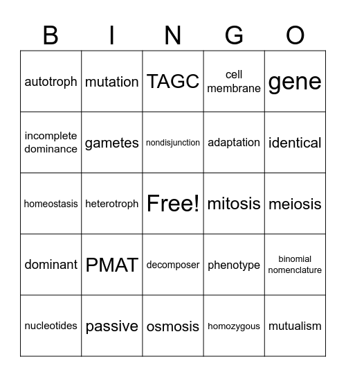 Biology End Of Year Bingo Card