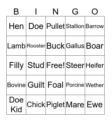 Animal Vocabulary Bingo Card