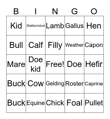 Amie and Jaelynn Bingo Card