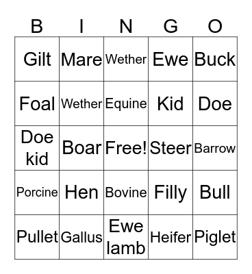 Animals Bingo Card