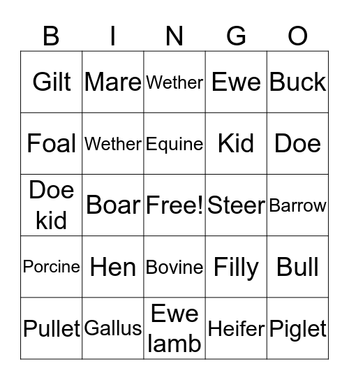 Animals Bingo Card