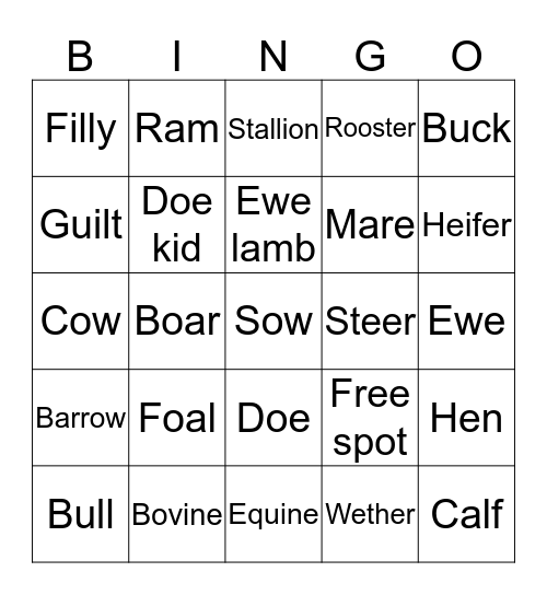 Jordan FFA bingo Card