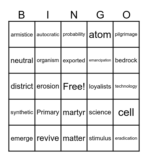 Social Studies and Science Vocabulary Bingo Card