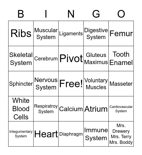 Human Body Bingo Card