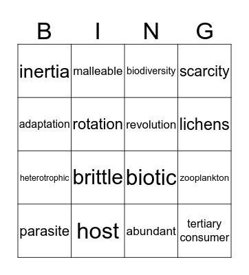 Vocabulary  Bingo Card