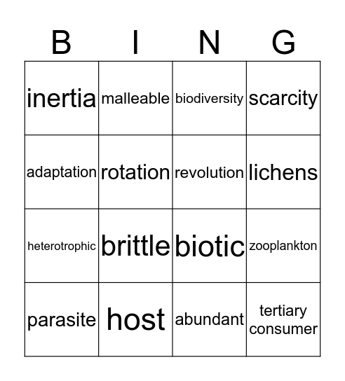 Vocabulary  Bingo Card