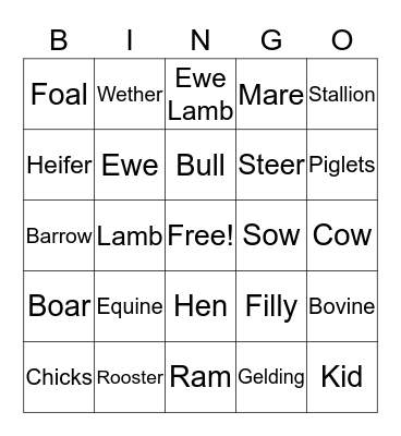 Animal Term Bingo Card