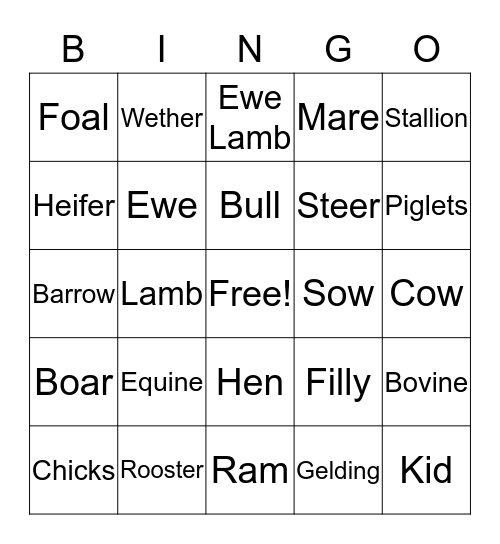 animal-term-bingo-card