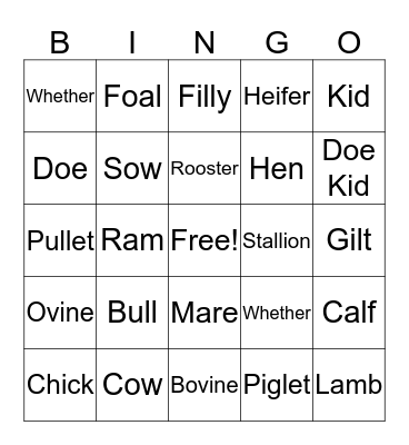 Animal Terms Bingo Card
