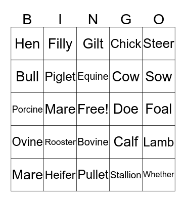 Animal Terms Bingo Card