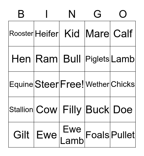 Animal Term Bingo Card
