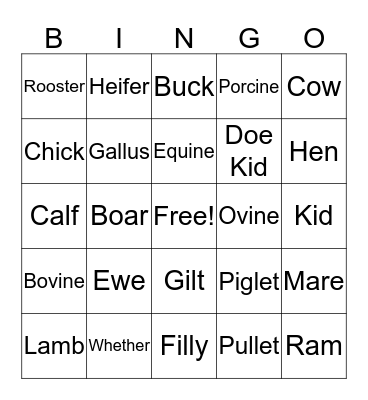 Animal Terms  Bingo Card