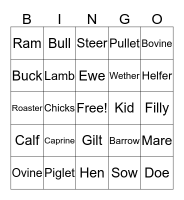 Animal Bingo Card