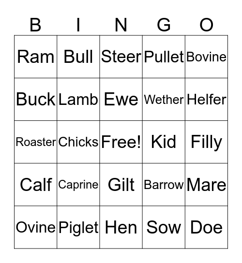 Animal Bingo Card
