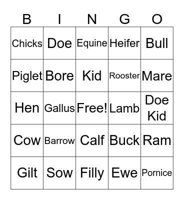 Animal Terms Bingo Card